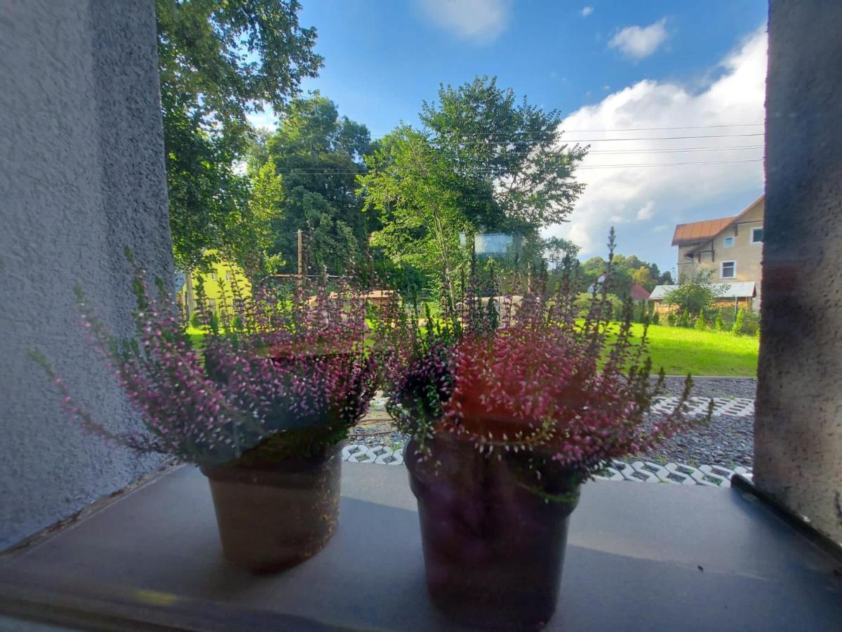 Villa Bryziowka B Miłków Exterior foto
